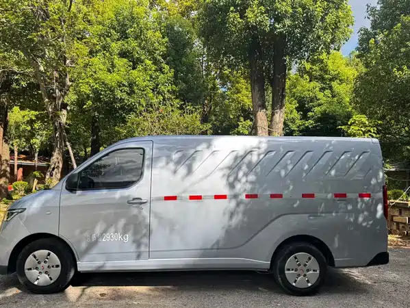 Wuling Yangguang 2024