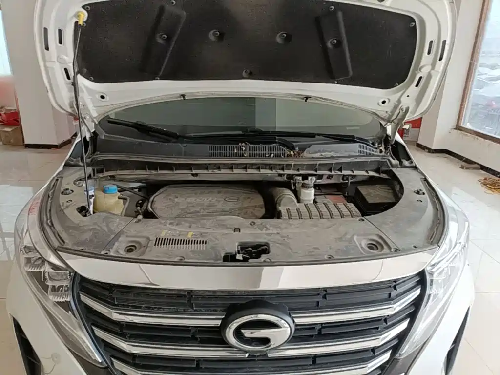 GAC Trumpchi M8 2024 — фото 20