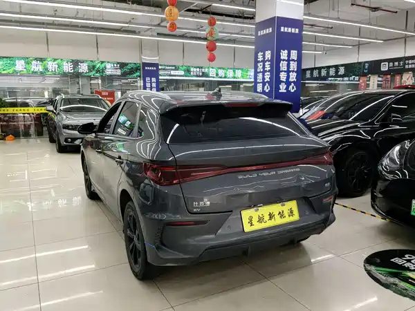 BYD e2 2021