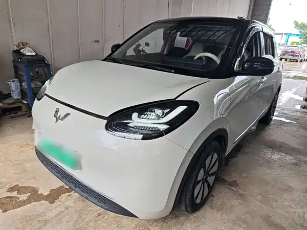 Wuling Bingo 2024