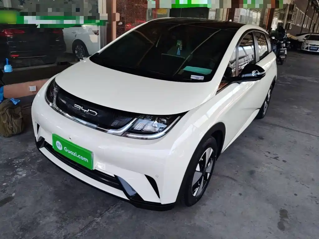 BYD Dolphin 2024
