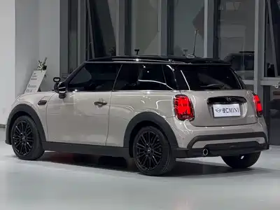 MINI MINI 2022