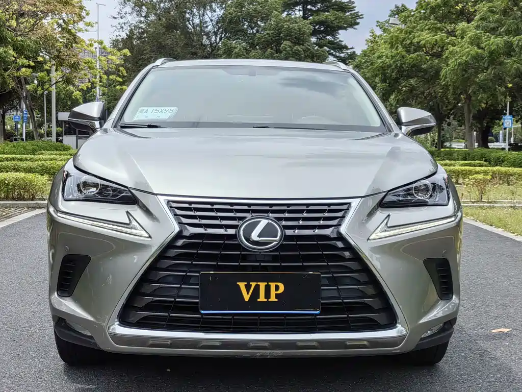 Lexus NX 2019 — фото 2