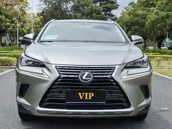Lexus NX 2019