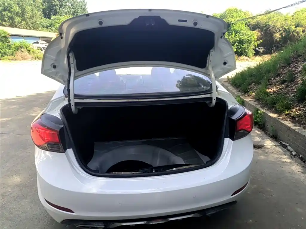 Hyundai Elantra Langdong 2016 — фото 19