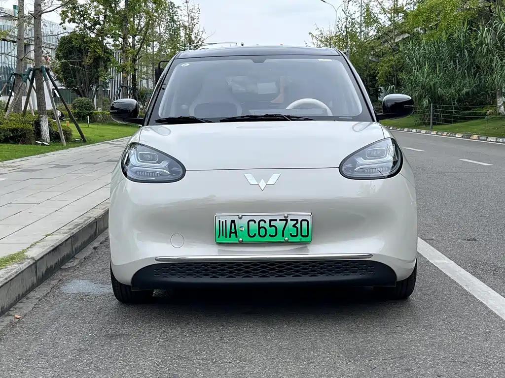 Wuling Bingo 2025