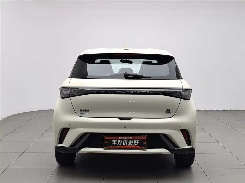 BYD Dolphin 2024