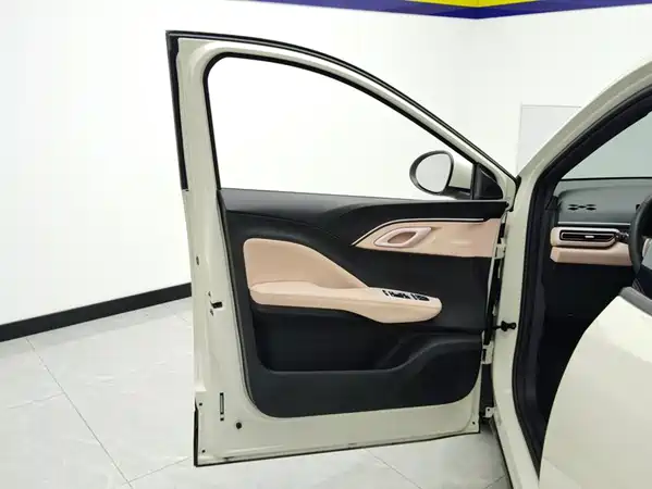BYD Seagull 2024