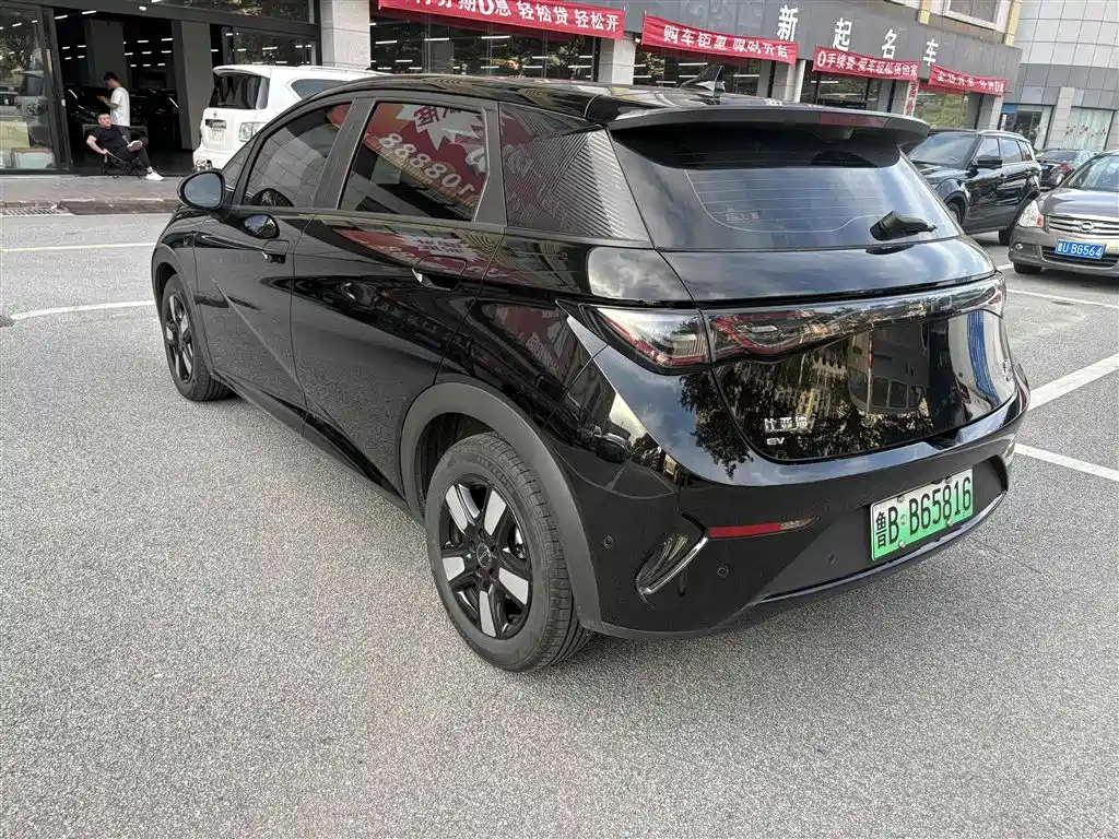 BYD Dolphin 2025