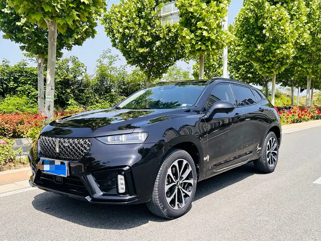 Wey VV7 2019