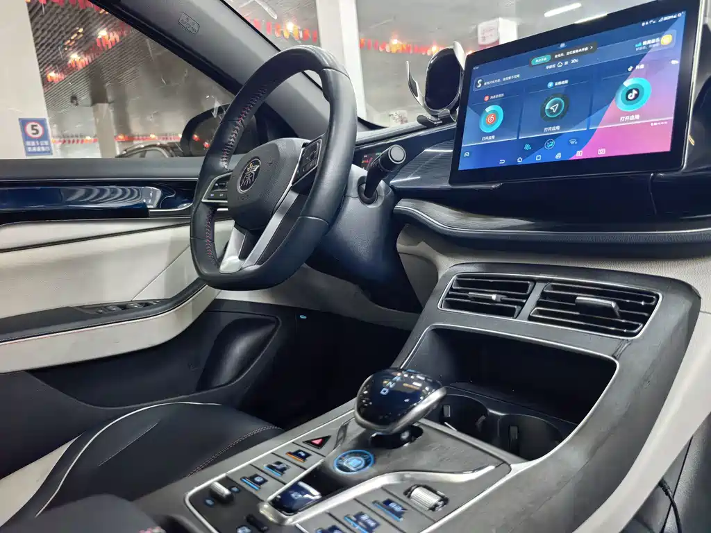 BYD Qin PLUS 2022 — фото 16