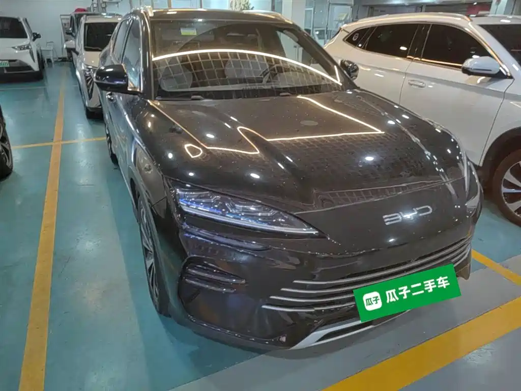 BYD PLUS New Energy 2024 — фото 4
