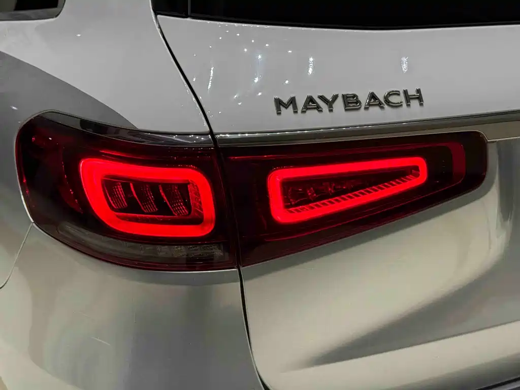 Mercedes-Benz Maybach GLS 2021 — фото 10
