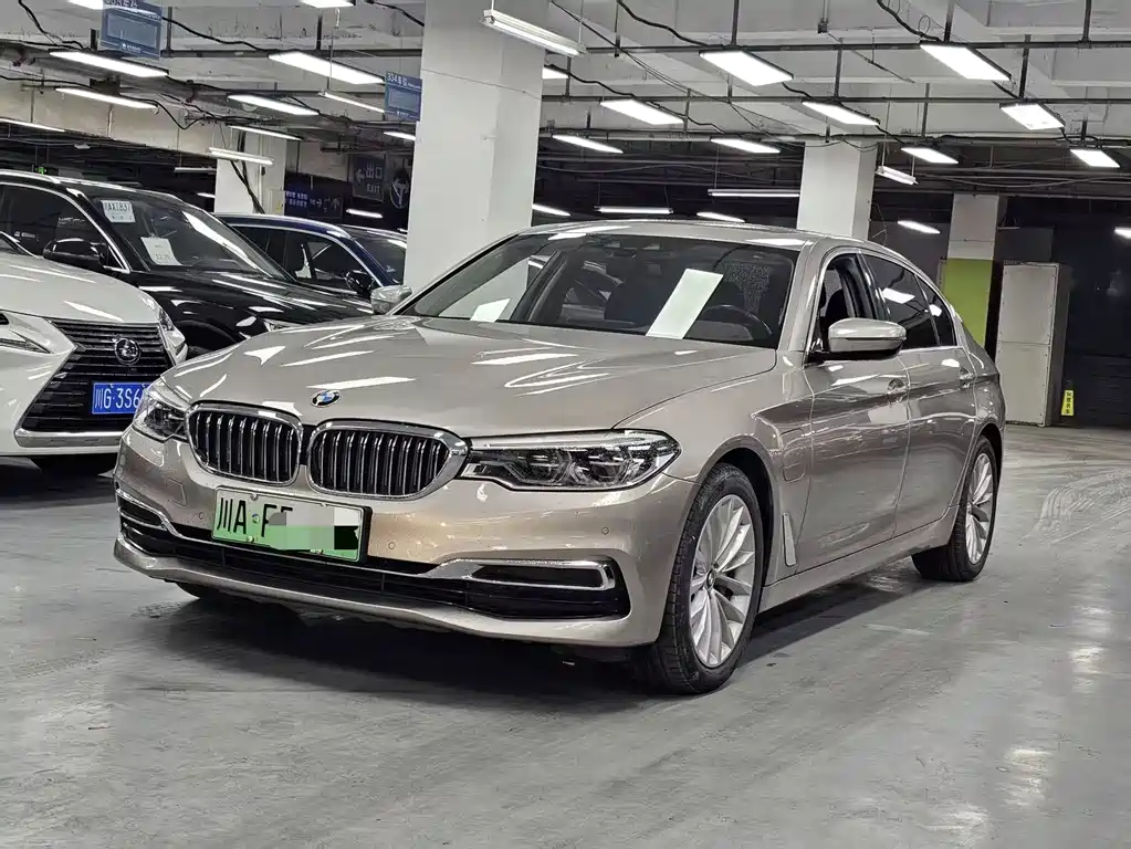 BMW 5 Series New Energy 2019
