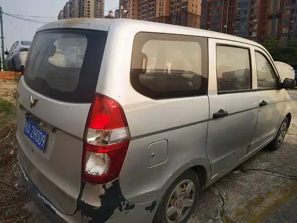 Wuling Hongguang 2010