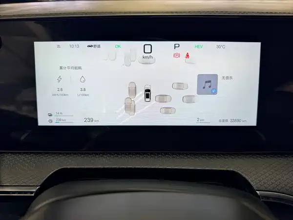 BYD Song Pro New Energy 2025