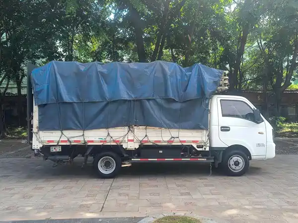 Farizon Long Range Sharp 2023