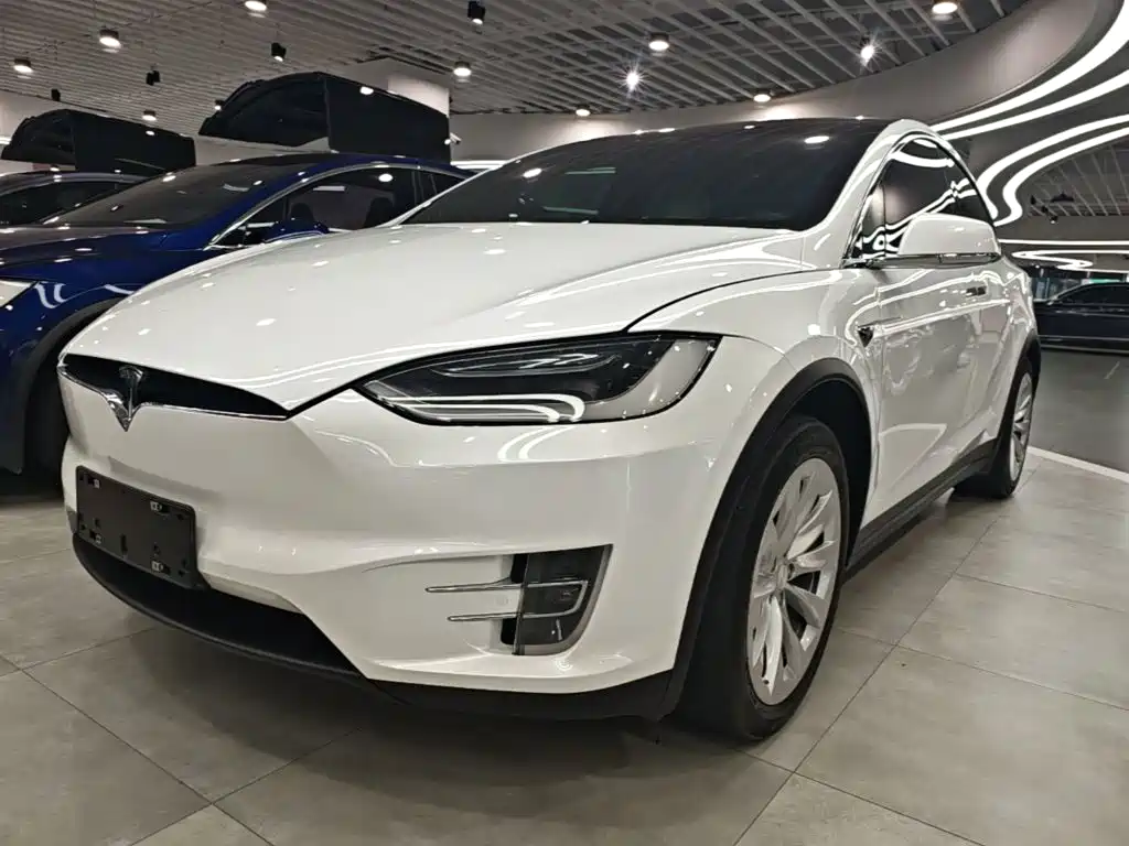 Tesla Model X 2019 — фото 2