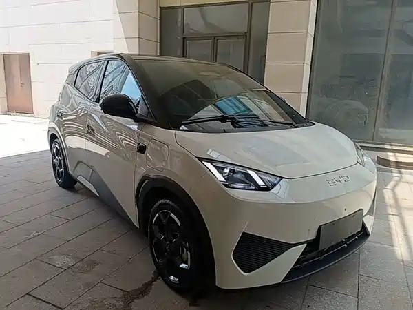 BYD Seagull 2025
