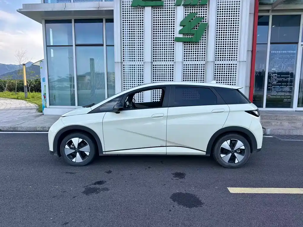 BYD Dolphin 2024