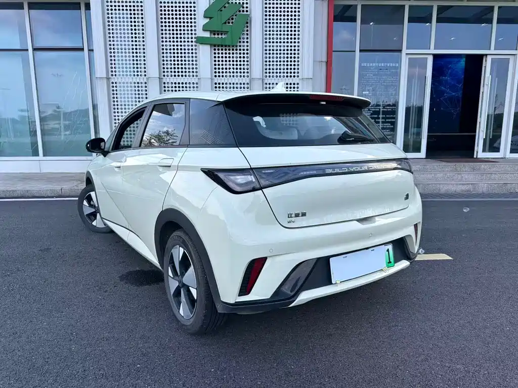 BYD Dolphin 2024