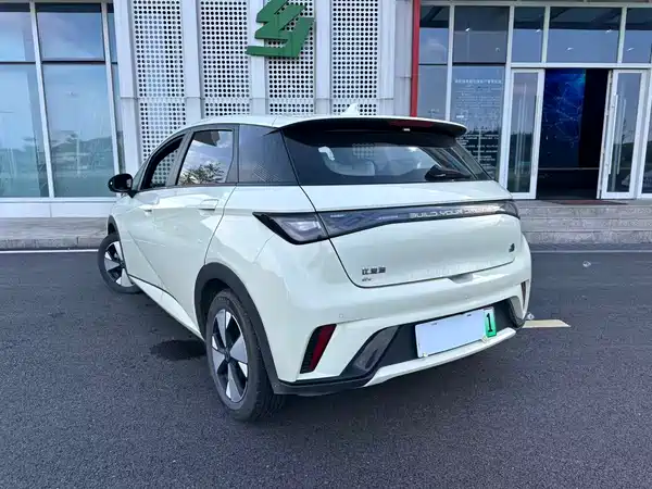 BYD Dolphin 2024