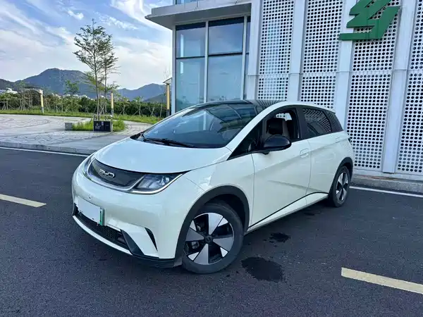 BYD Dolphin 2024