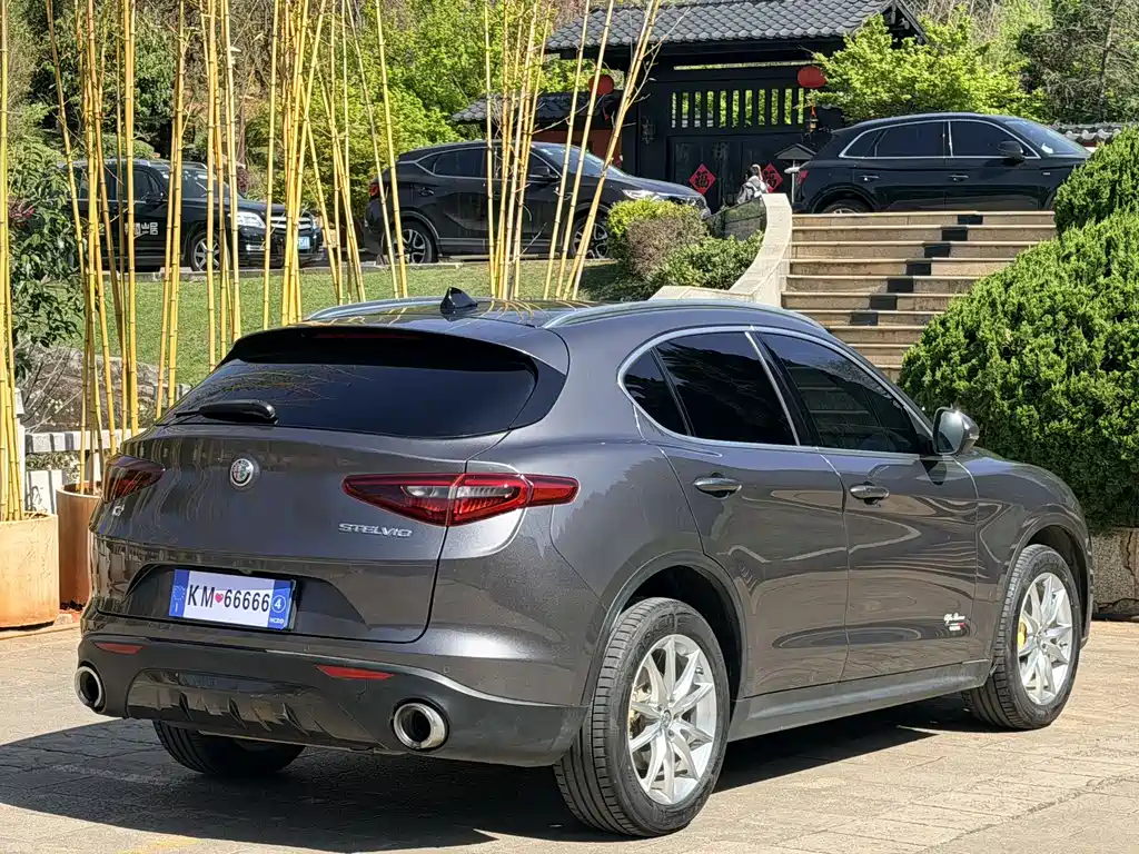 Alfa Romeo Stelvio 2020 — фото 8