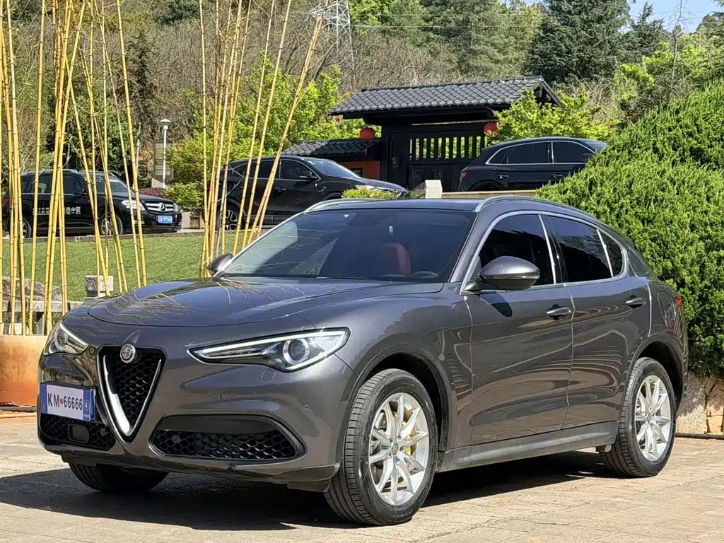 Alfa Romeo Stelvio 2020 — фото 1