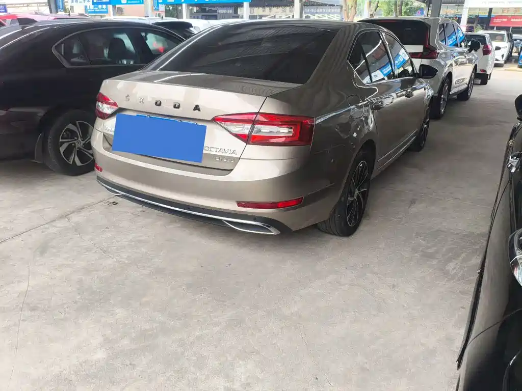 Skoda Octavia 2019 — фото 15