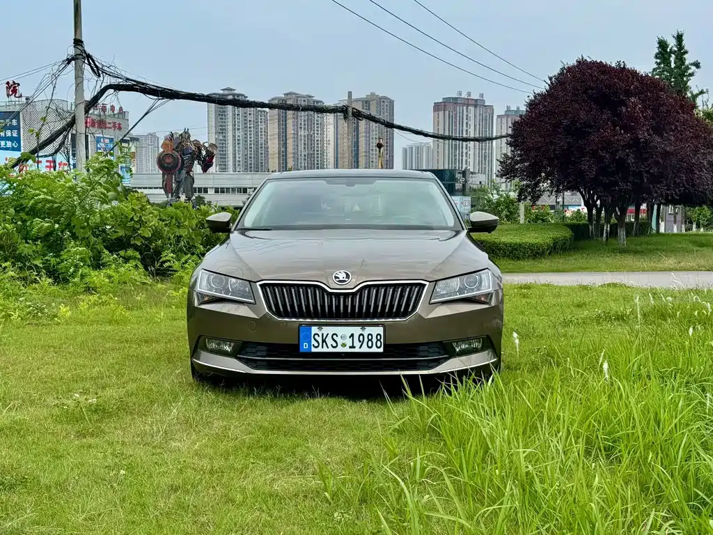 Skoda Superb 2019 — фото 2