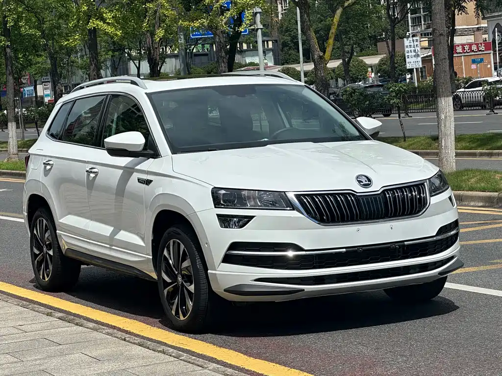 Skoda Karoq 2023 — фото 3