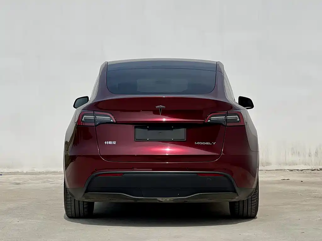 Tesla Model Y 2021 — фото 10