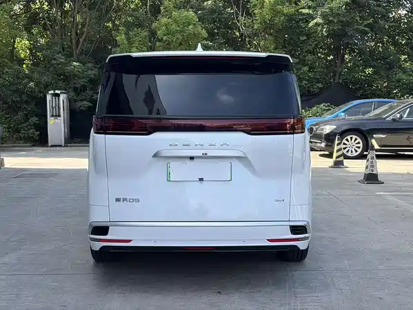 Denza D9 2024