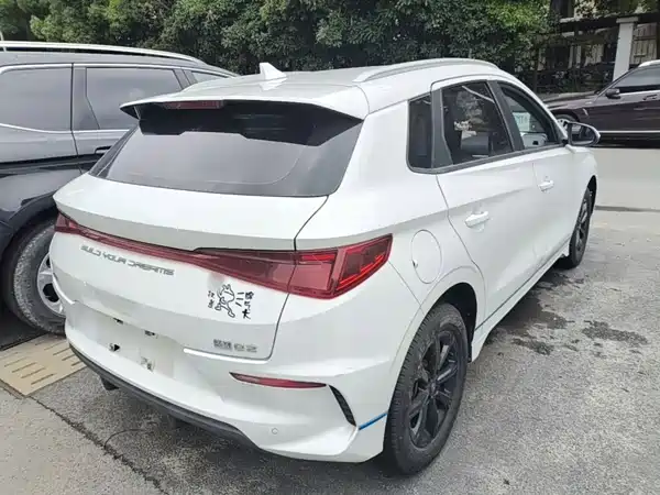 BYD e2 2020