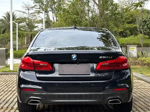 BMW 5 Series 2019