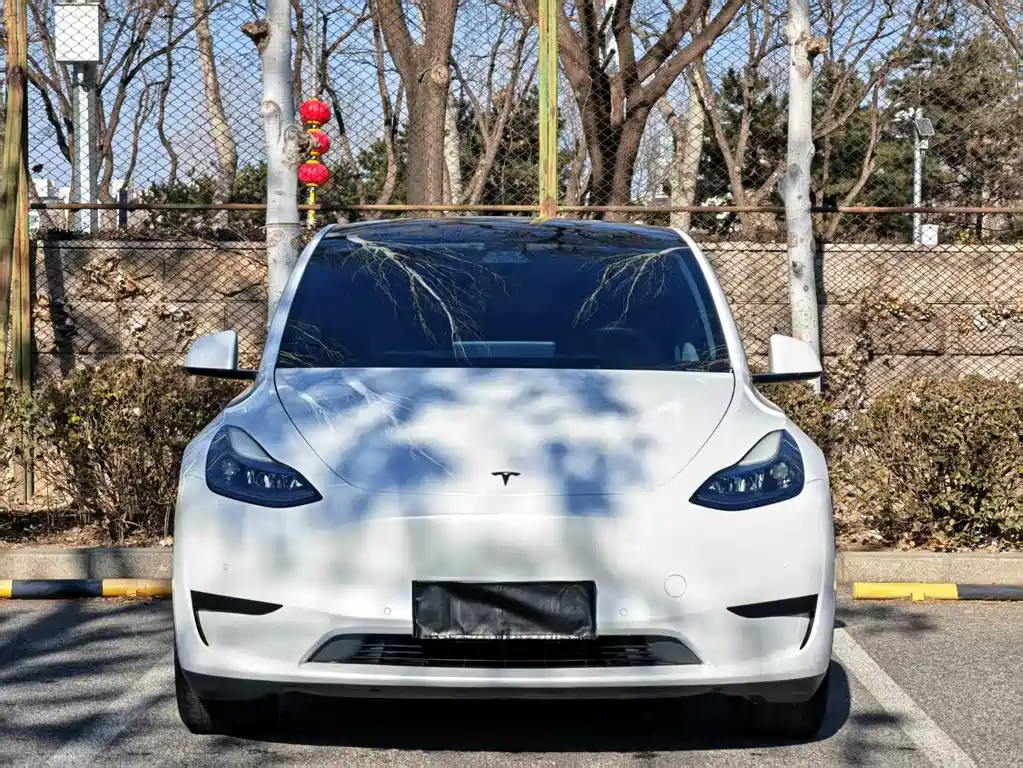 Tesla Model Y 2022 — фото 2