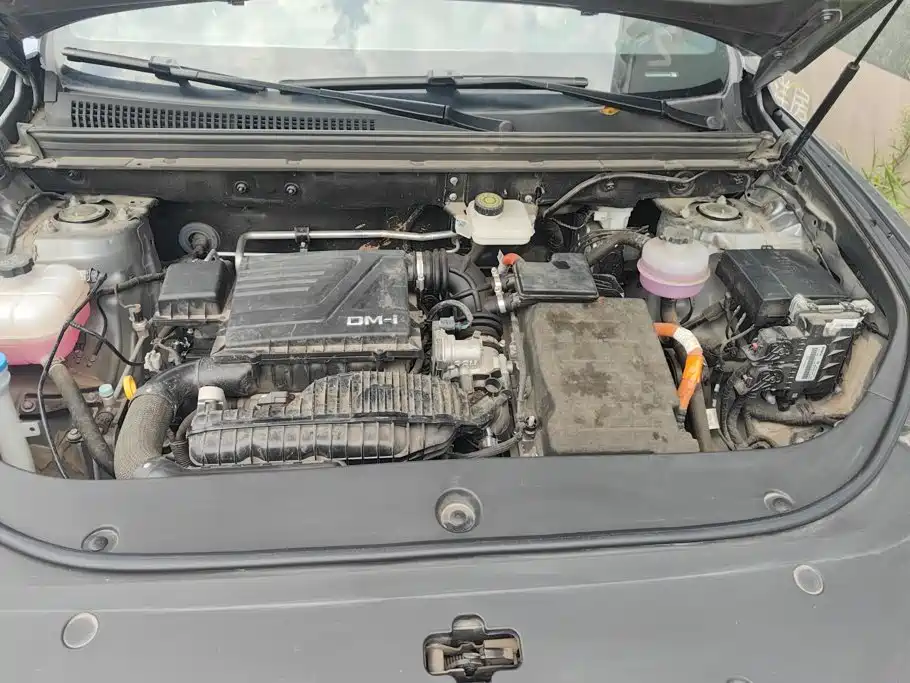 BYD Song Pro New Energy 2024 — фото 10