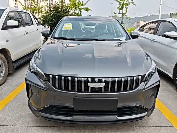 Geely Binrui 2024