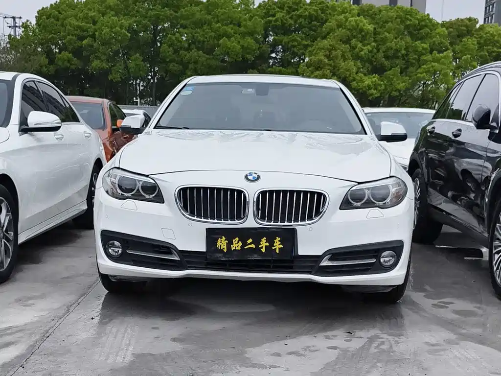 BMW 5 Series 2013 — фото 2