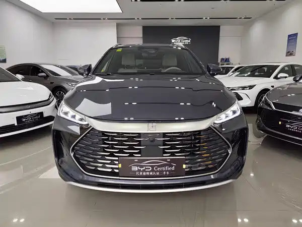 BYD Tang New Energy 2025