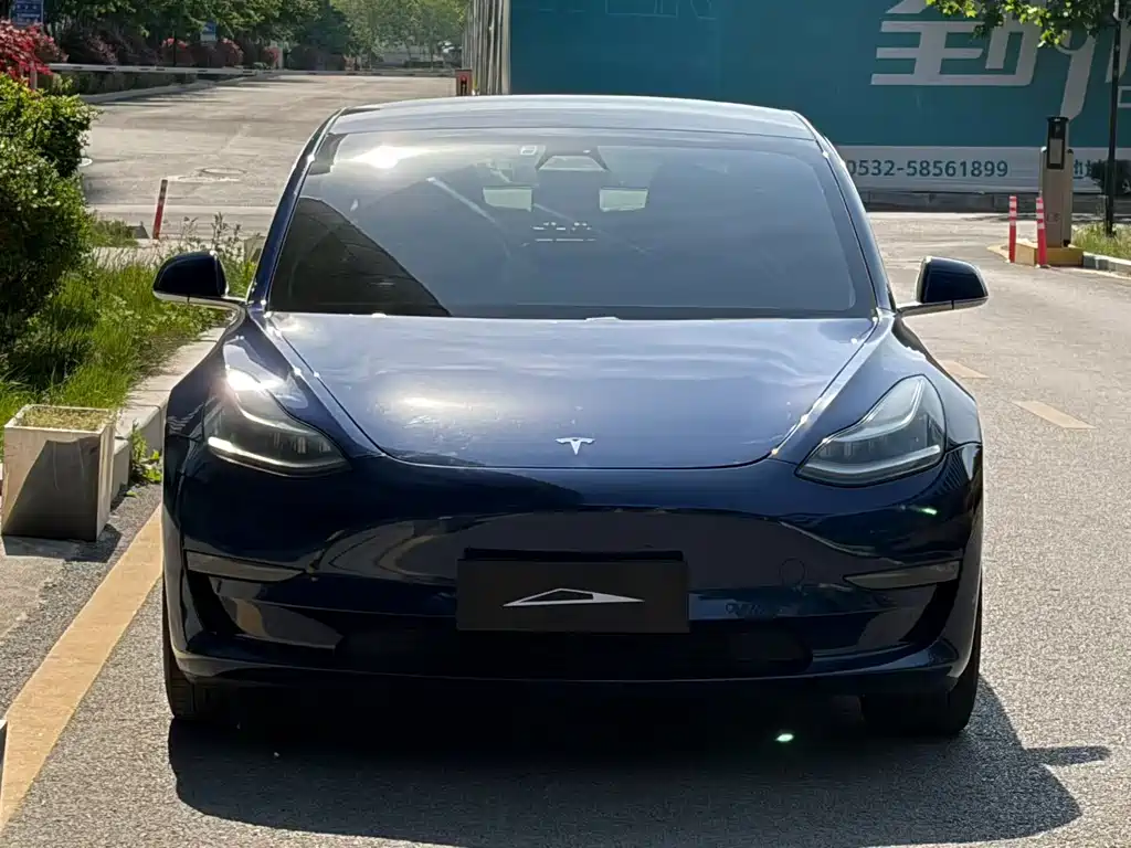 Tesla Model 3 2020 — фото 2