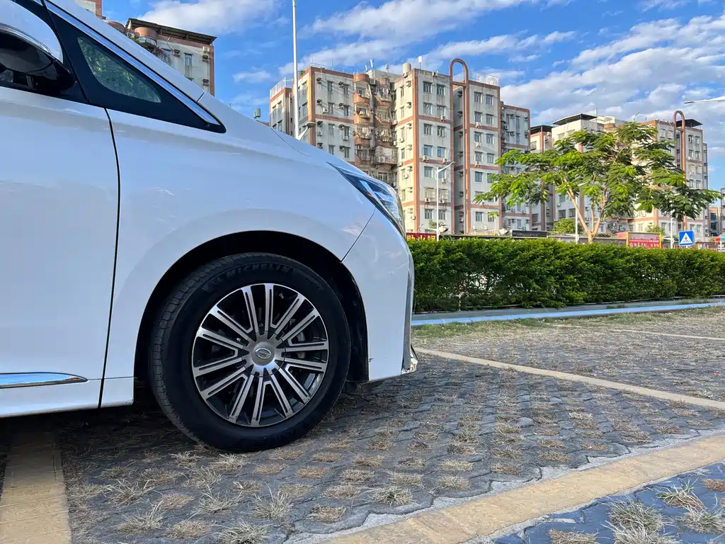 GAC Motor Trumpchi M8 2022 — фото 8