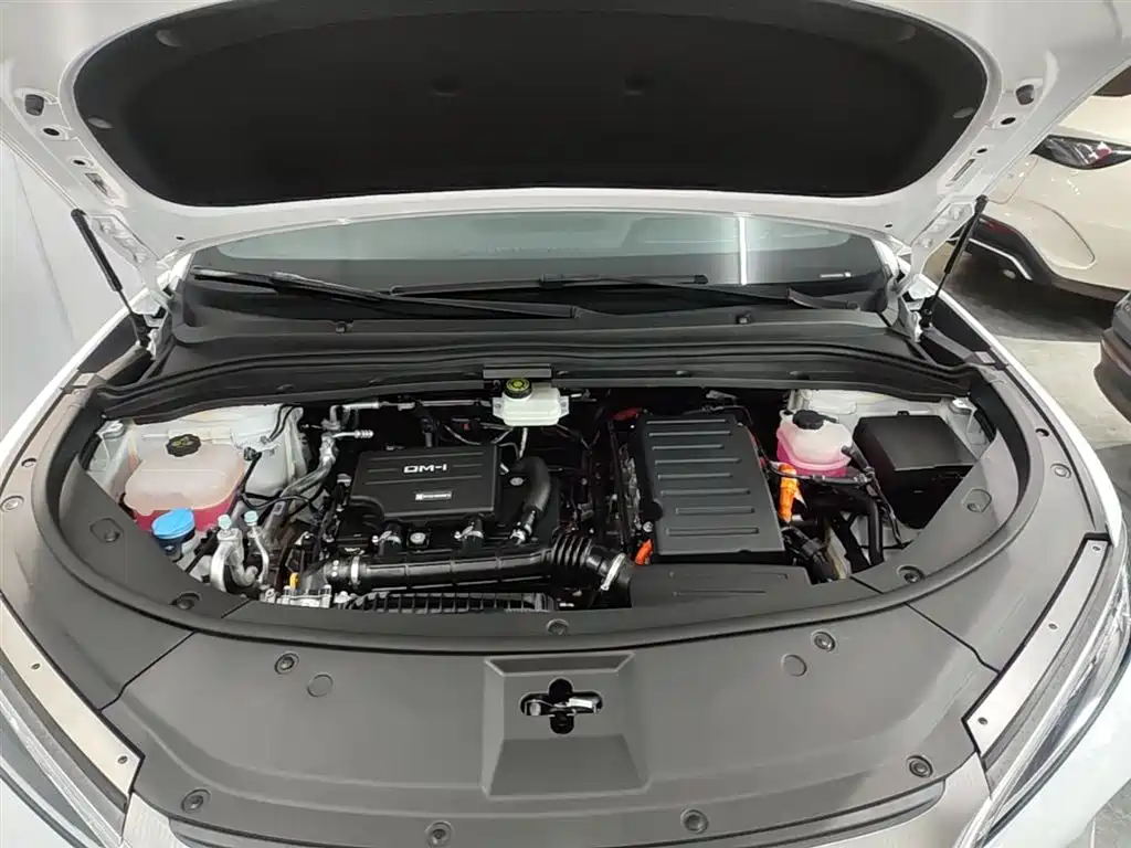 BYD L DM-i 2025 — фото 16