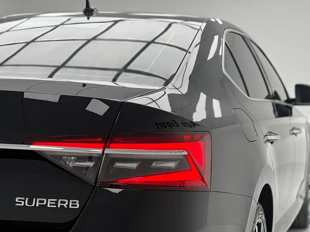 Skoda Speedy 2024 — фото 9