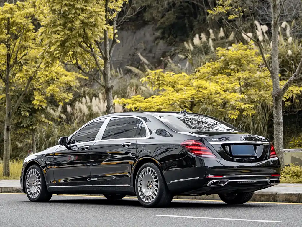 Mercedes-Benz S-Class 2019 — фото 17