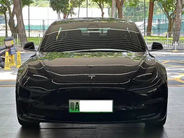 Tesla Model 3 2019