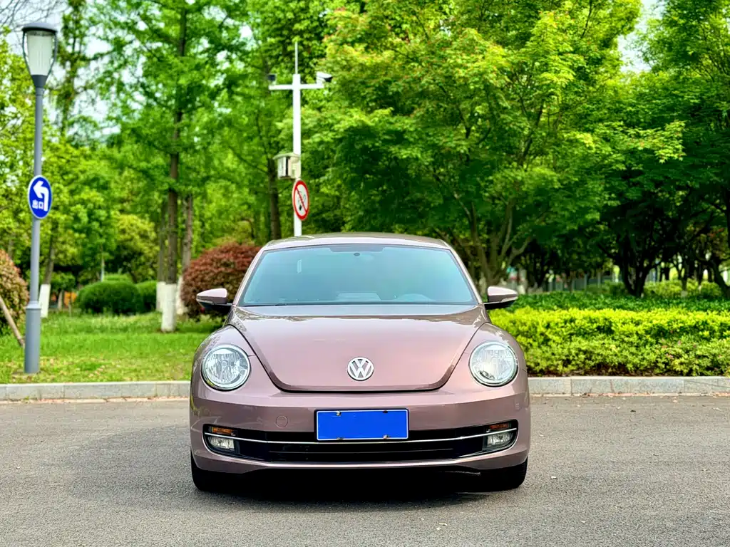 Volkswagen Beetle 2014