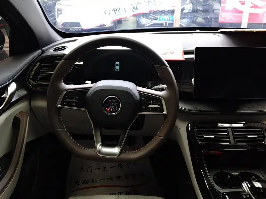 BYD Qin PLUS 2023 — фото 15