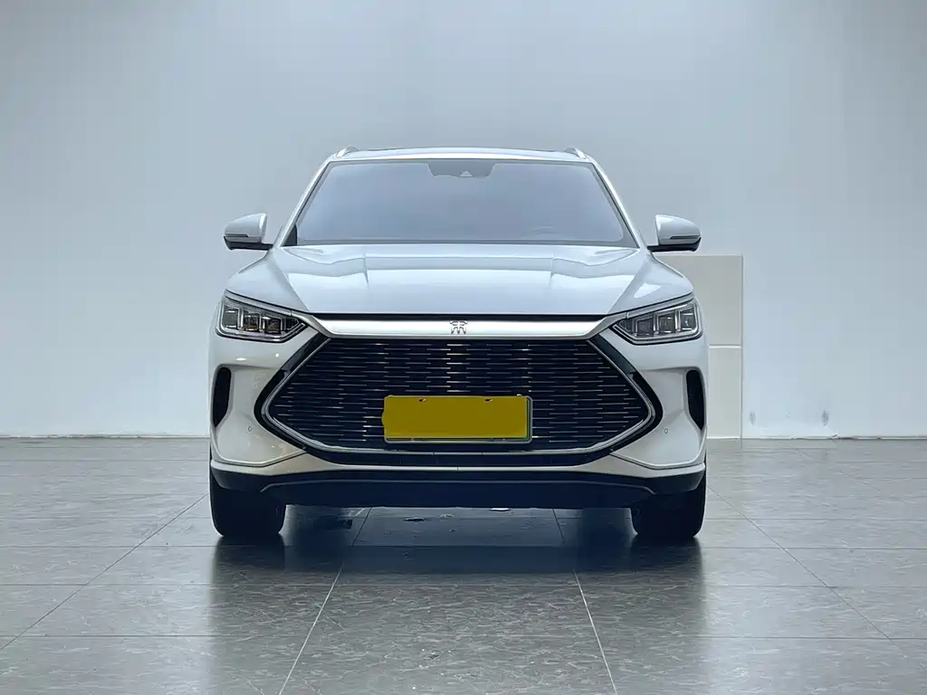 BYD PLUS New Energy 2022 — фото 2